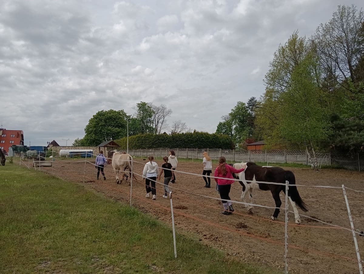 Prowadzenie koni z wybiegu na jazdy - obóz jeździecki Horseback