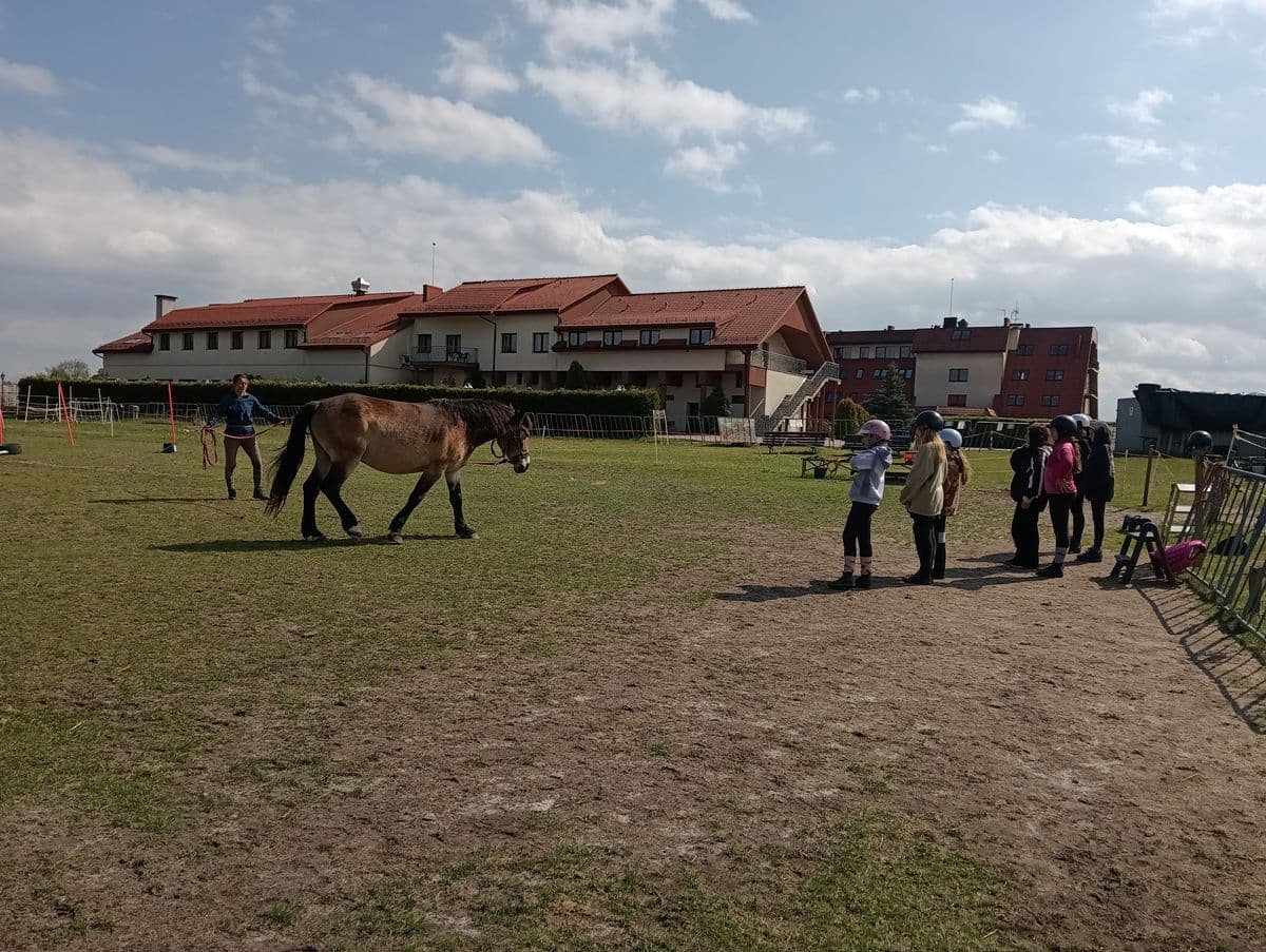 Uczymy się lonżować - obóz jeździecki Horseback