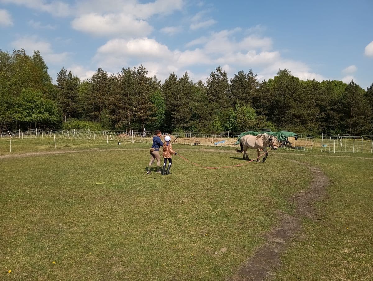 Uczymy się lonżować - obóz jeździecki Horseback