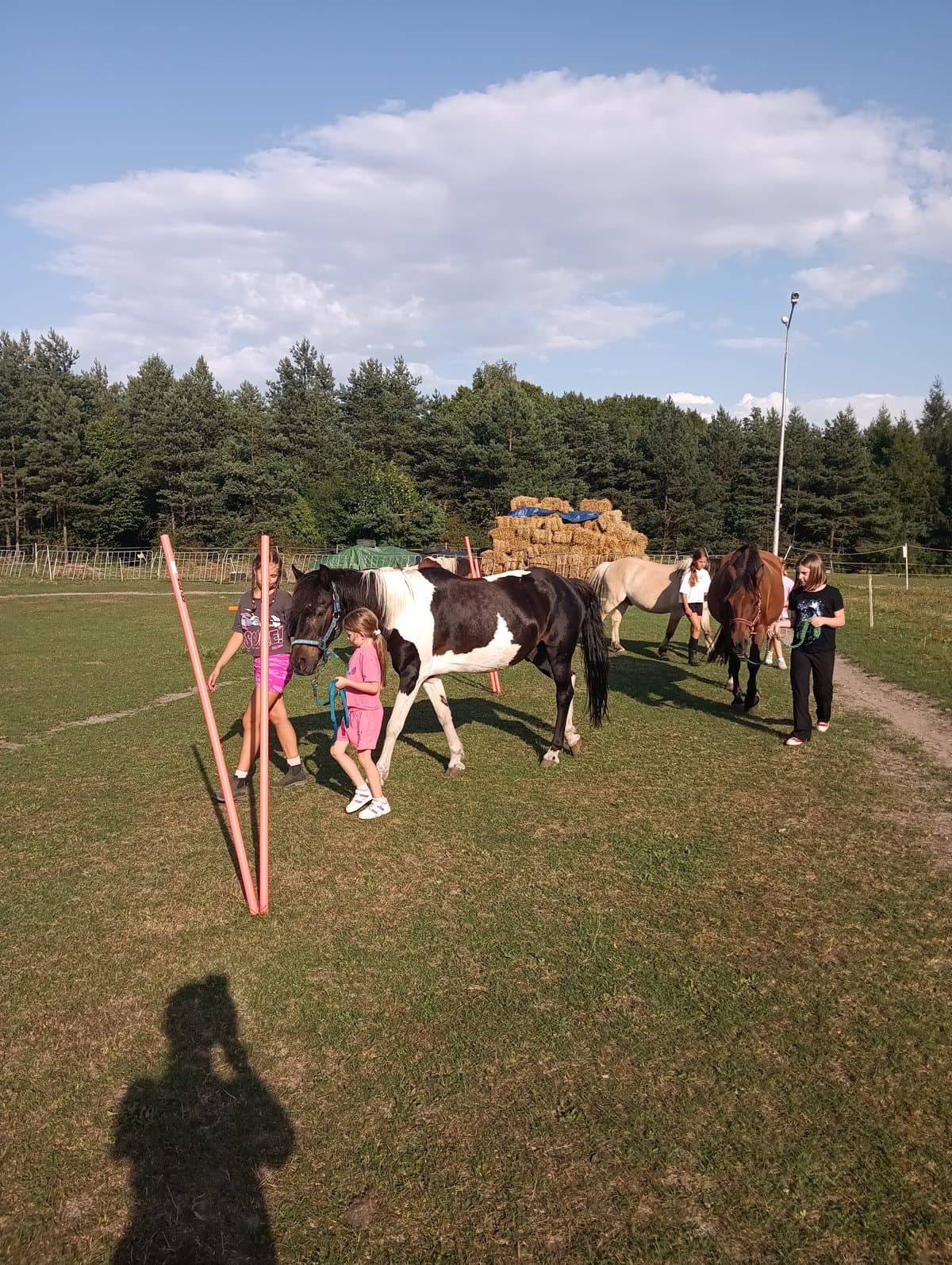 Prowadzimy konie - obóz jeździecki Horseback, sierpień 2026