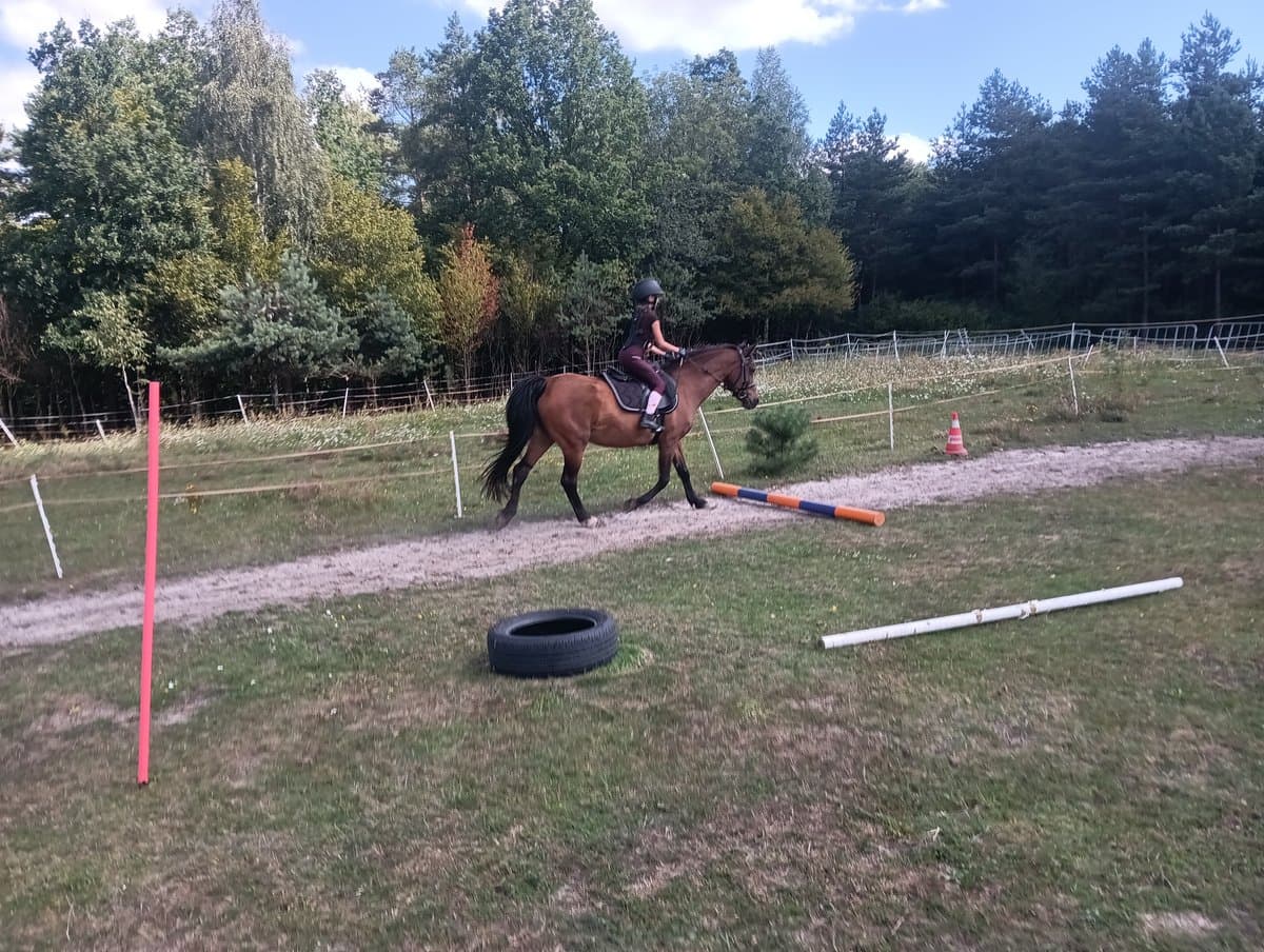 Jazda po torze z drągami - obóz jeździecki Horseback, sierpień 2026